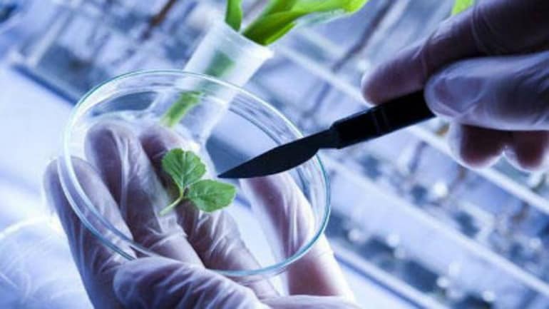 Biotechnology Today - The Bio Revolution That's Positively Impacting Economies and Lives